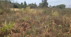 Serene Living Awaits! 0.125 Acres in Thigio Kamangu – Only 83 Meters from Tarmac!