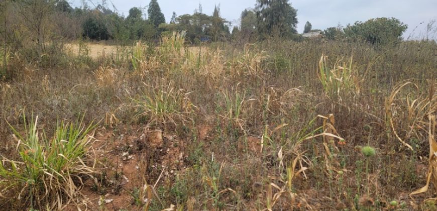 Serene Living Awaits! 0.125 Acres in Thigio Kamangu – Only 83 Meters from Tarmac!