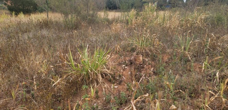 Serene Living Awaits! 0.125 Acres in Thigio Kamangu – Only 83 Meters from Tarmac!