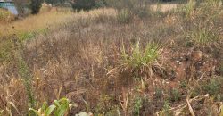 Serene Living Awaits! 0.125 Acres in Thigio Kamangu – Only 83 Meters from Tarmac!