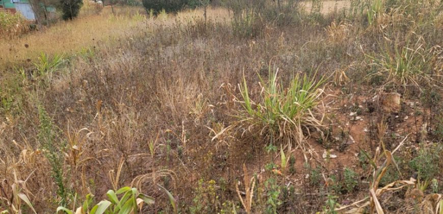 Serene Living Awaits! 0.125 Acres in Thigio Kamangu – Only 83 Meters from Tarmac!