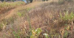 Serene Living Awaits! 0.125 Acres in Thigio Kamangu – Only 83 Meters from Tarmac!