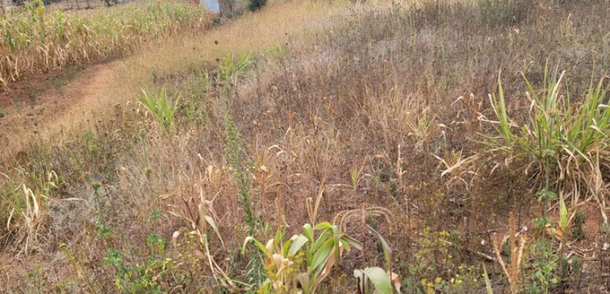Serene Living Awaits! 0.125 Acres in Thigio Kamangu – Only 83 Meters from Tarmac!