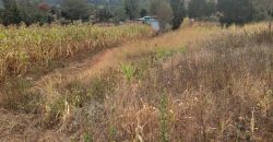 Serene Living Awaits! 0.125 Acres in Thigio Kamangu – Only 83 Meters from Tarmac!