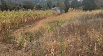 Serene Living Awaits! 0.125 Acres in Thigio Kamangu – Only 83 Meters from Tarmac!