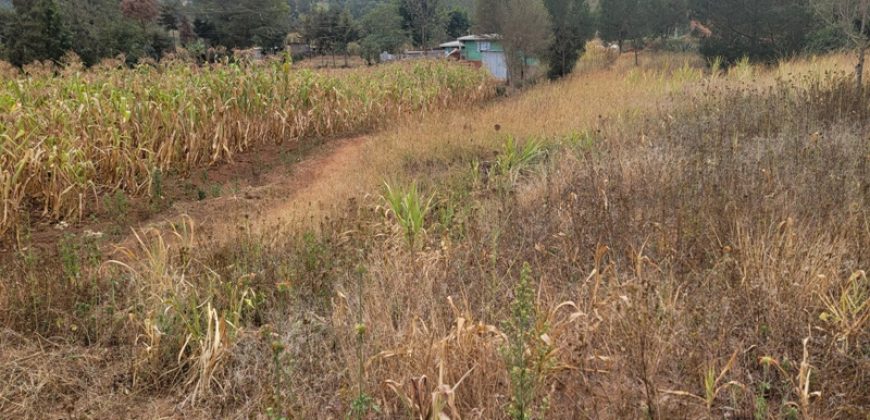 Serene Living Awaits! 0.125 Acres in Thigio Kamangu – Only 83 Meters from Tarmac!