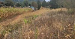 Serene Living Awaits! 0.125 Acres in Thigio Kamangu – Only 83 Meters from Tarmac!