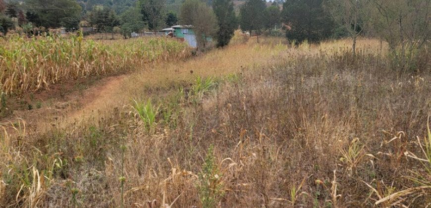 Serene Living Awaits! 0.125 Acres in Thigio Kamangu – Only 83 Meters from Tarmac!