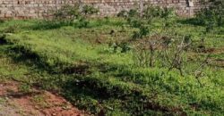 Prime Investment Opportunity: 5-Acre Parcel Opposite Gatune Police Station