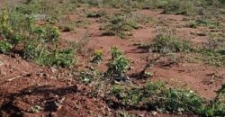Prime Investment Opportunity: 5-Acre Parcel Opposite Gatune Police Station