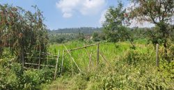 1/8 acre Residential Plot Gitutha (400 M From Tarmac)