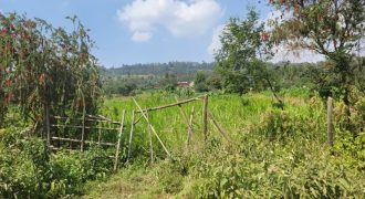 1/8 acre Residential Plot Gitutha (400 M From Tarmac)