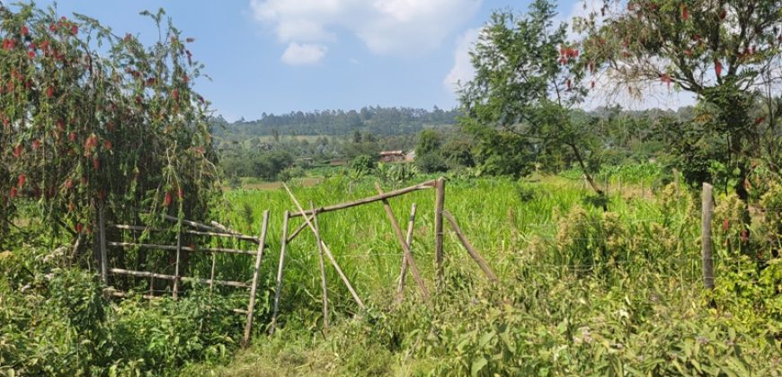1/8 acre Residential Plot Gitutha (400 M From Tarmac)