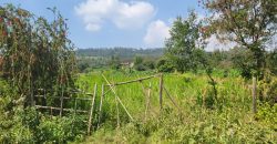 1/8 acre Residential Plot Gitutha (400 M From Tarmac)