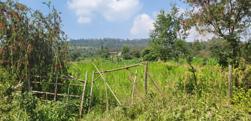 1/8 acre Residential Plot Gitutha (400 M From Tarmac)
