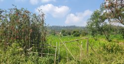 1/8 acre Residential Plot Gitutha (400 M From Tarmac)