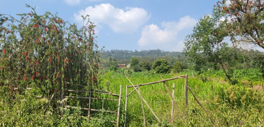 1/8 acre Residential Plot Gitutha (400 M From Tarmac)