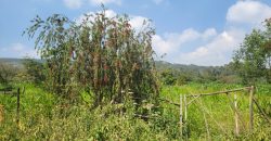 1/8 acre Residential Plot Gitutha (400 M From Tarmac)