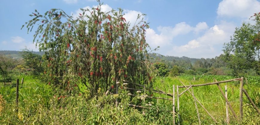 1/8 acre Residential Plot Gitutha (400 M From Tarmac)