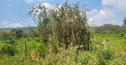 1/8 acre Residential Plot Gitutha (400 M From Tarmac)