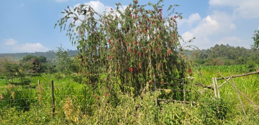 1/8 acre Residential Plot Gitutha (400 M From Tarmac)
