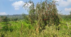 1/8 acre Residential Plot Gitutha (400 M From Tarmac)
