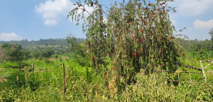 1/8 acre Residential Plot Gitutha (400 M From Tarmac)