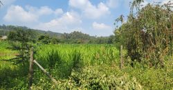 1/8 acre Residential Plot Gitutha (400 M From Tarmac)