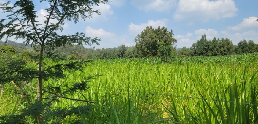 1/8 acre Residential Plot Gitutha (400 M From Tarmac)