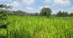 1/8 acre Residential Plot Gitutha (400 M From Tarmac)