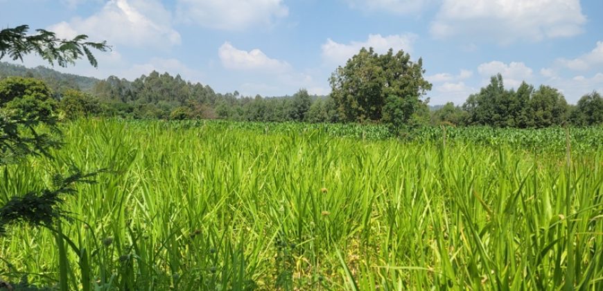 1/8 acre Residential Plot Gitutha (400 M From Tarmac)