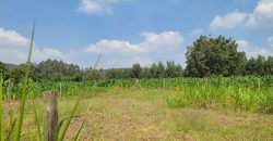 1/8 acre Residential Plot Gitutha (400 M From Tarmac)