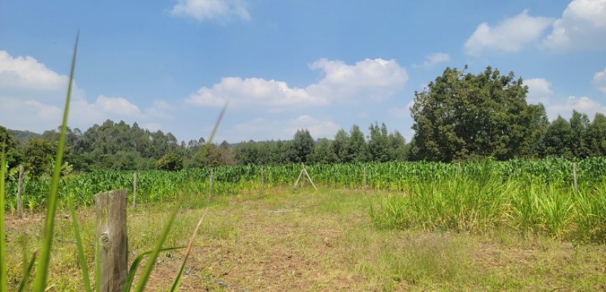 1/8 acre Residential Plot Gitutha (400 M From Tarmac)