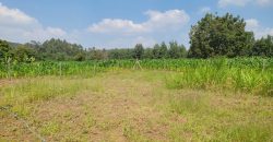 1/8 acre Residential Plot Gitutha (400 M From Tarmac)