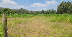 1/8 acre Residential Plot Gitutha (400 M From Tarmac)