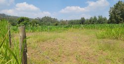 1/8 acre Residential Plot Gitutha (400 M From Tarmac)