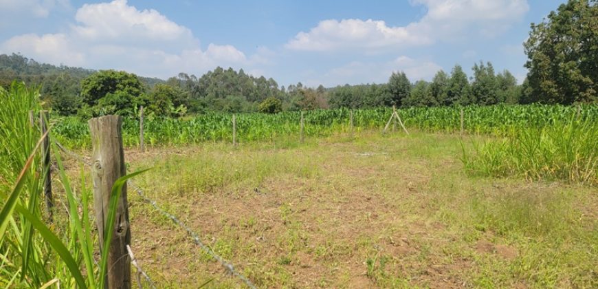 1/8 acre Residential Plot Gitutha (400 M From Tarmac)