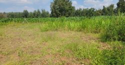 1/8 acre Residential Plot Gitutha (400 M From Tarmac)