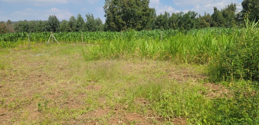 1/8 acre Residential Plot Gitutha (400 M From Tarmac)