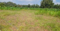 1/8 acre Residential Plot Gitutha (400 M From Tarmac)