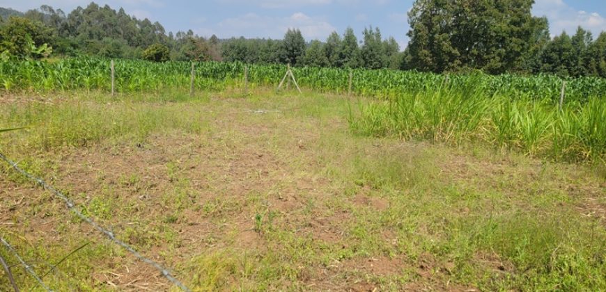 1/8 acre Residential Plot Gitutha (400 M From Tarmac)