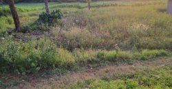 1/4 Of An Acre Fronting Tarmac In Kikuyu