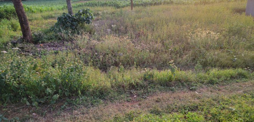 1/4 Of An Acre Fronting Tarmac In Kikuyu