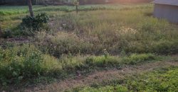 1/4 Of An Acre Fronting Tarmac In Kikuyu