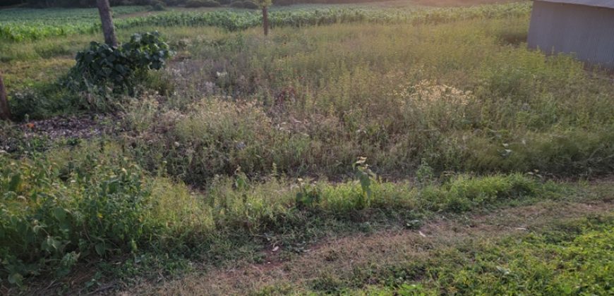 1/4 Of An Acre Fronting Tarmac In Kikuyu
