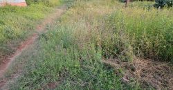 1/4 Of An Acre Fronting Tarmac In Kikuyu