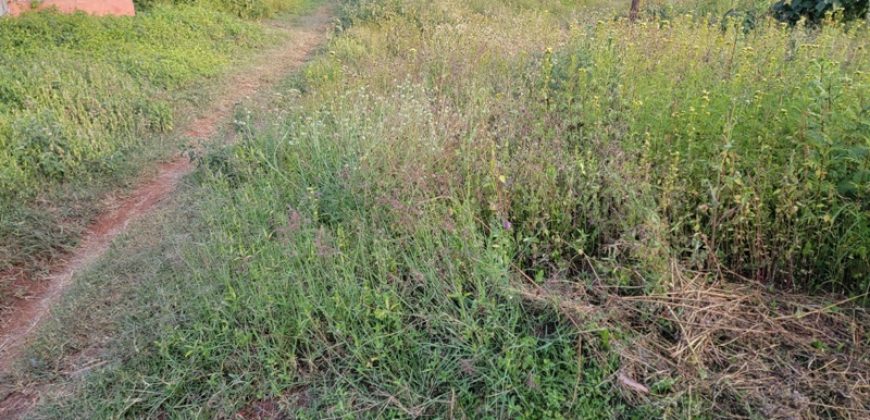 1/4 Of An Acre Fronting Tarmac In Kikuyu