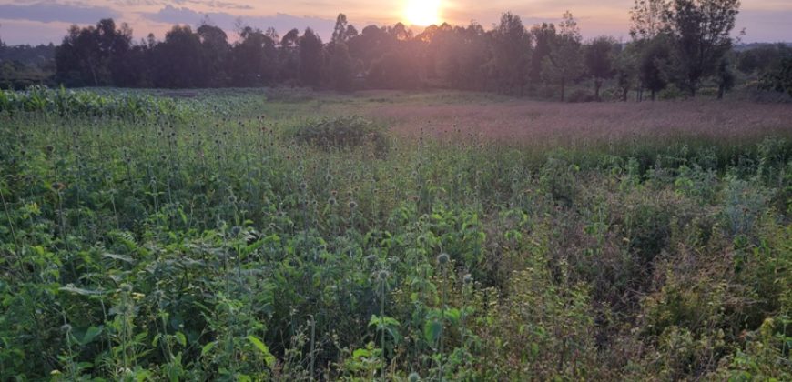 1/4 Of An Acre Fronting Tarmac In Kikuyu