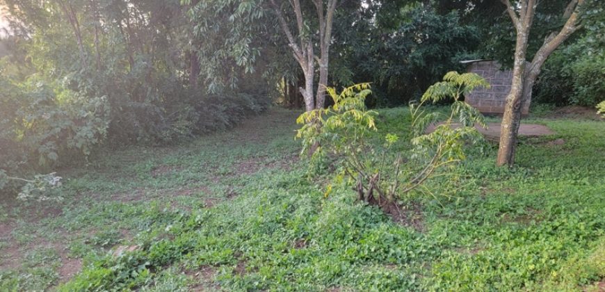 1/4 Of An Acre Fronting Tarmac In Kikuyu