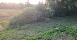 1/4 Of An Acre Fronting Tarmac In Kikuyu